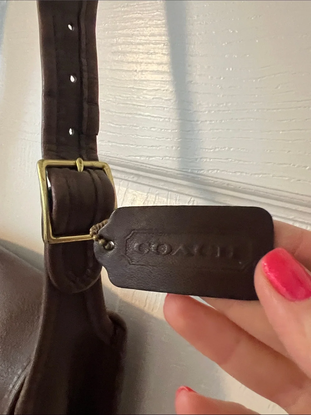 Coach Classic Pouch Shoulder Bag
